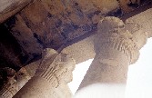 egdoorway1.jpg