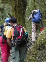 trekking.jpg